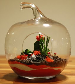 Elma Terrarium 3 kakts orta boy  Ankara Siteler Ulubey 14 ubat sevgililer gn iek 