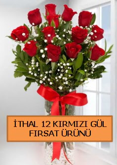  thal krmz 12 adet kaliteli gl  Ankara Siteler Gicik ucuz iek gnder 