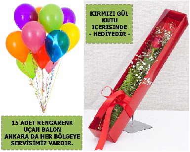 15 Adet uan balon ve kutuda krmz gl  Ankara Siteler Feridun elik iek , ieki , iekilik 