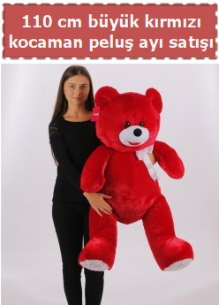 110 cm byk krmz kocaman pelu ay  Siteler Bapnar Ankara iek gnderme