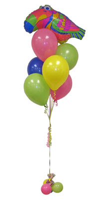  Ankara Siteler Aydnck iek yolla Sevdiklerinize 17 adet uan balon demeti yollayin.