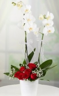 2 dall beyaz orkide 7 adet krmz gl  Ankara Siteler Ulubey 14 ubat sevgililer gn iek 