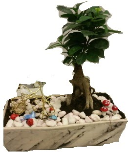 Japon aac bonsai sat  Ankara Siteler Ulubey anneler gn iek yolla 