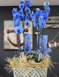 4 dall zel mavi orkide  Ankara Siteler nder iek siparii