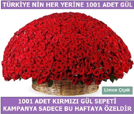 1001 Adet krmz gl Bu haftaya zel  Ankara Siteler Glpnar iekiler